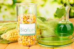 Lower Thorpe biofuel availability